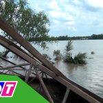 Tiền Giang: Sạt lở cuốn trôi trang trại gà khoảng 10.000 con xuống sông